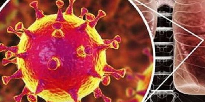 Алгоритм дій у випадку COVID-19