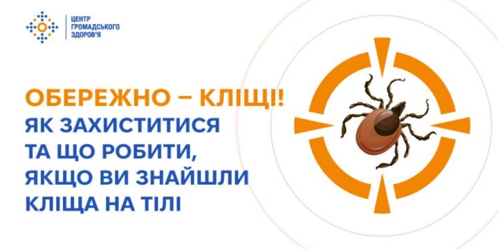 Обережно — кліщі! Як захиститися та що робити, якщо помітили на собі кліща
